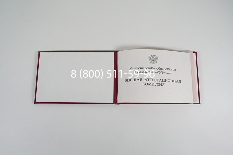 Диплом доктора наук 1995-2006 года в Таганроге Диплом доктора наук 1995-2006 года в Таганроге