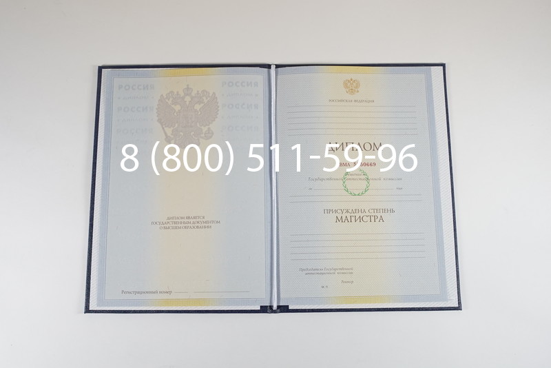 Диплом магистра 2010-2011 годов в Таганроге