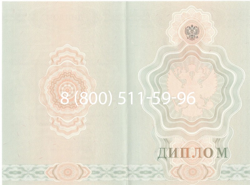Купить Диплом училища 2007-2009 годов в Таганроге Купить Диплом училища 2007-2009 годов в Таганроге